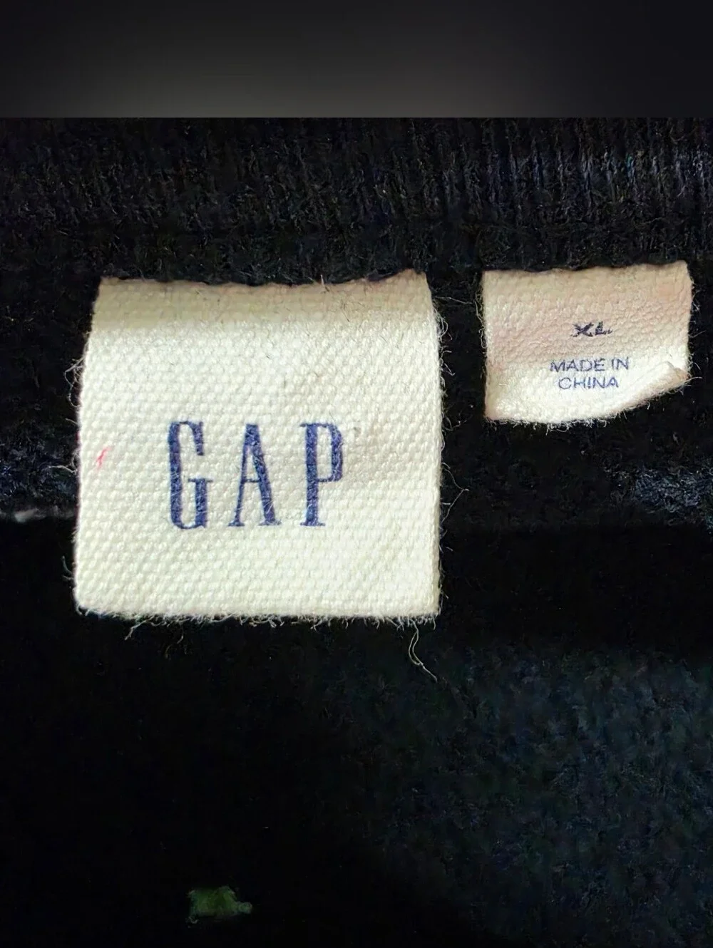 GAP Women's Navy Floral Embroidered Sweatshirt